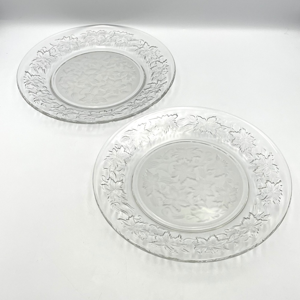 Vintage 1980s Princess House Fantasia Dinner Plates Set Of 2 Frosted Floral 10"